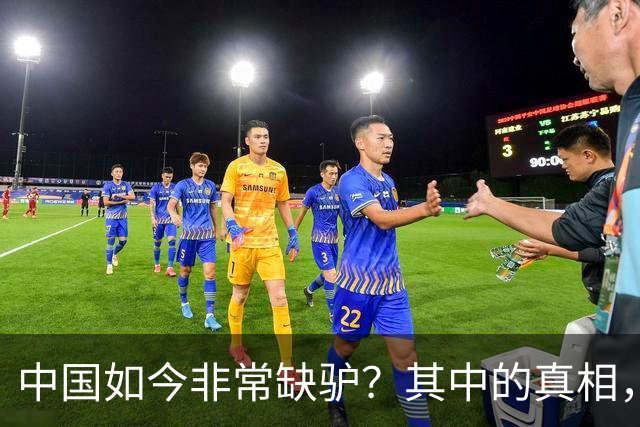 中国如今非常缺驴？其中的真相，比你想象的还要荒诞得多