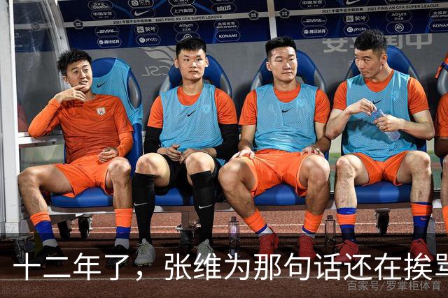 十二年了，张维为那句话还在挨骂，到底冤不冤？