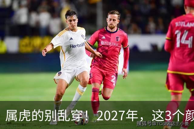 属虎的别乱穿！2027年，这3个颜色最旺你，事业财运感情全解析
