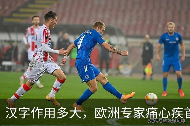 汉字作用多大，欧洲专家痛心疾首：若有汉字，欧洲或早已统一