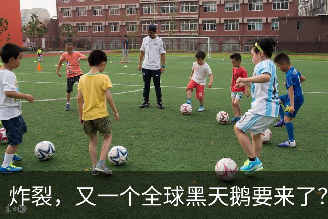 炸裂，又一个全球黑天鹅要来了？