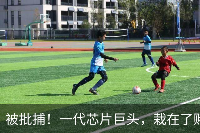 被批捕！一代芯片巨头，栽在了赌性里