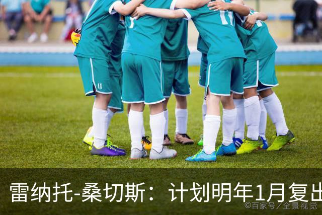 雷纳托-桑切斯：计划明年1月复出；伤病并非缺乏职业精神所致