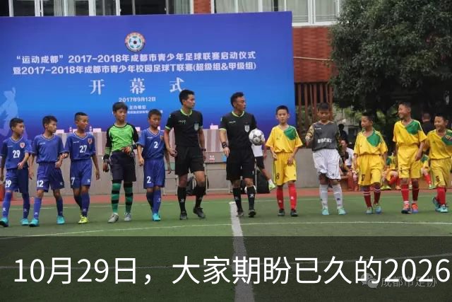 10月29日，大家期盼已久的2026退休养老金，究竟涨还是不涨？