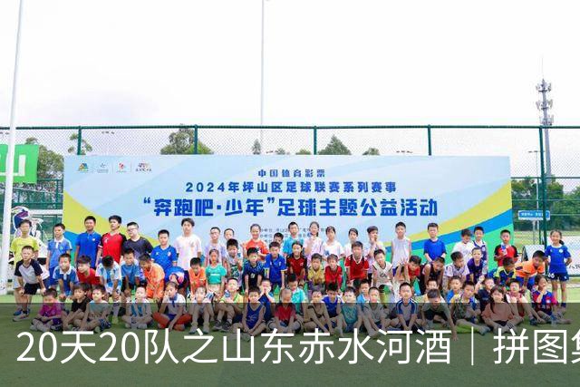 20天20队之山东赤水河酒｜拼图集齐 冲击冠军